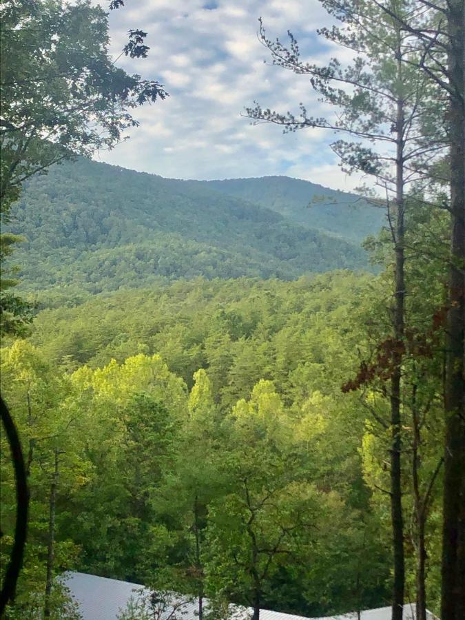 Mountain-Top Cabin Get-Away With Hot Tub And A View Sautee Nacoochee Kültér fotó